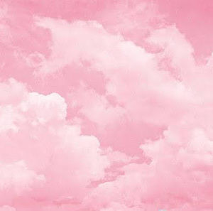 Meet your Posher, Kadence